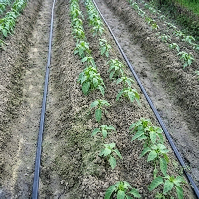 Augstspiediena mikro izsmidzināšanas lente